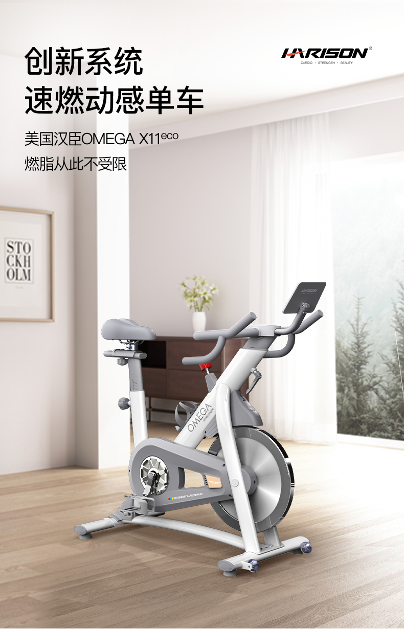 OMEGA-X11eco详情_01.jpg