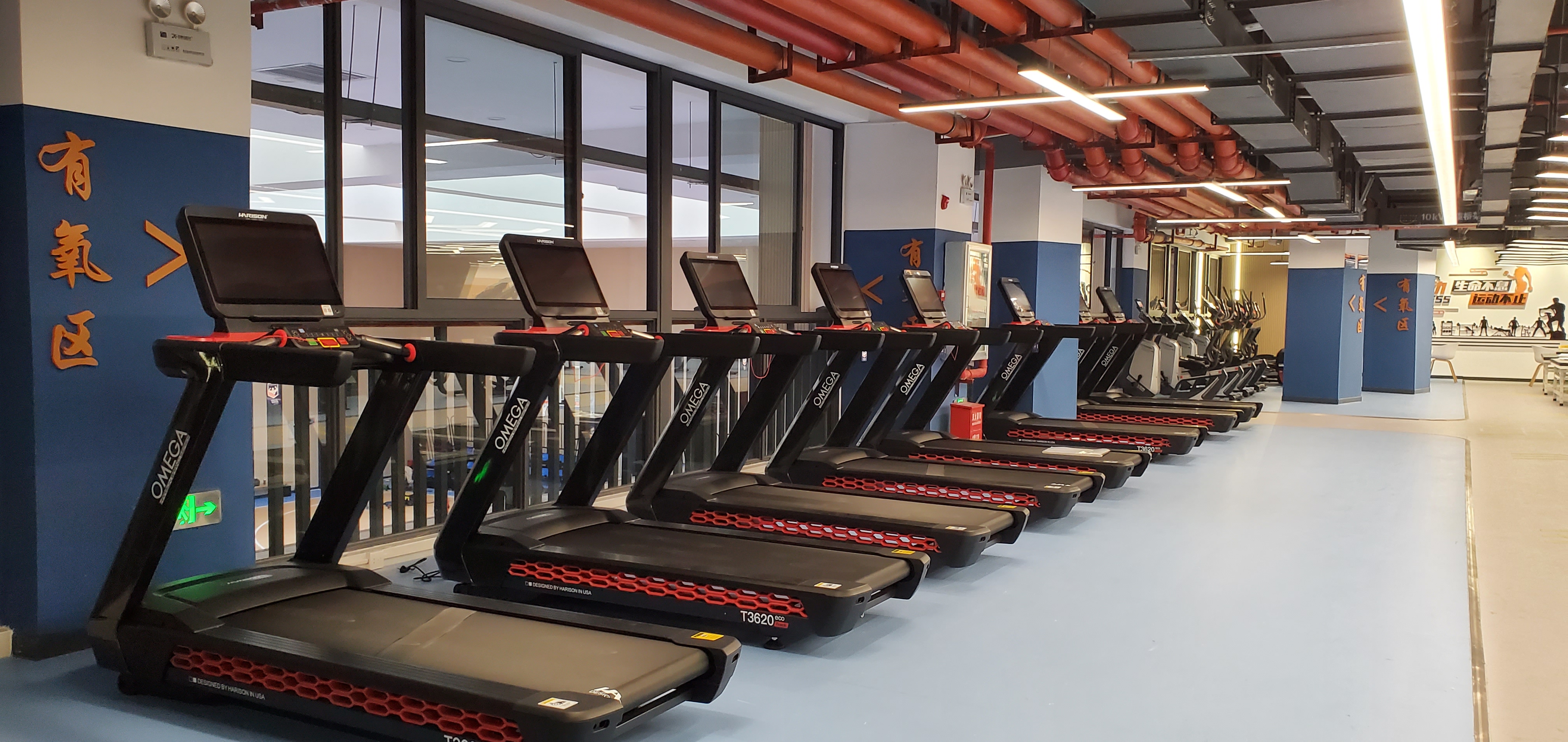 1749803841953283.jpg 20250313_185812.jpg