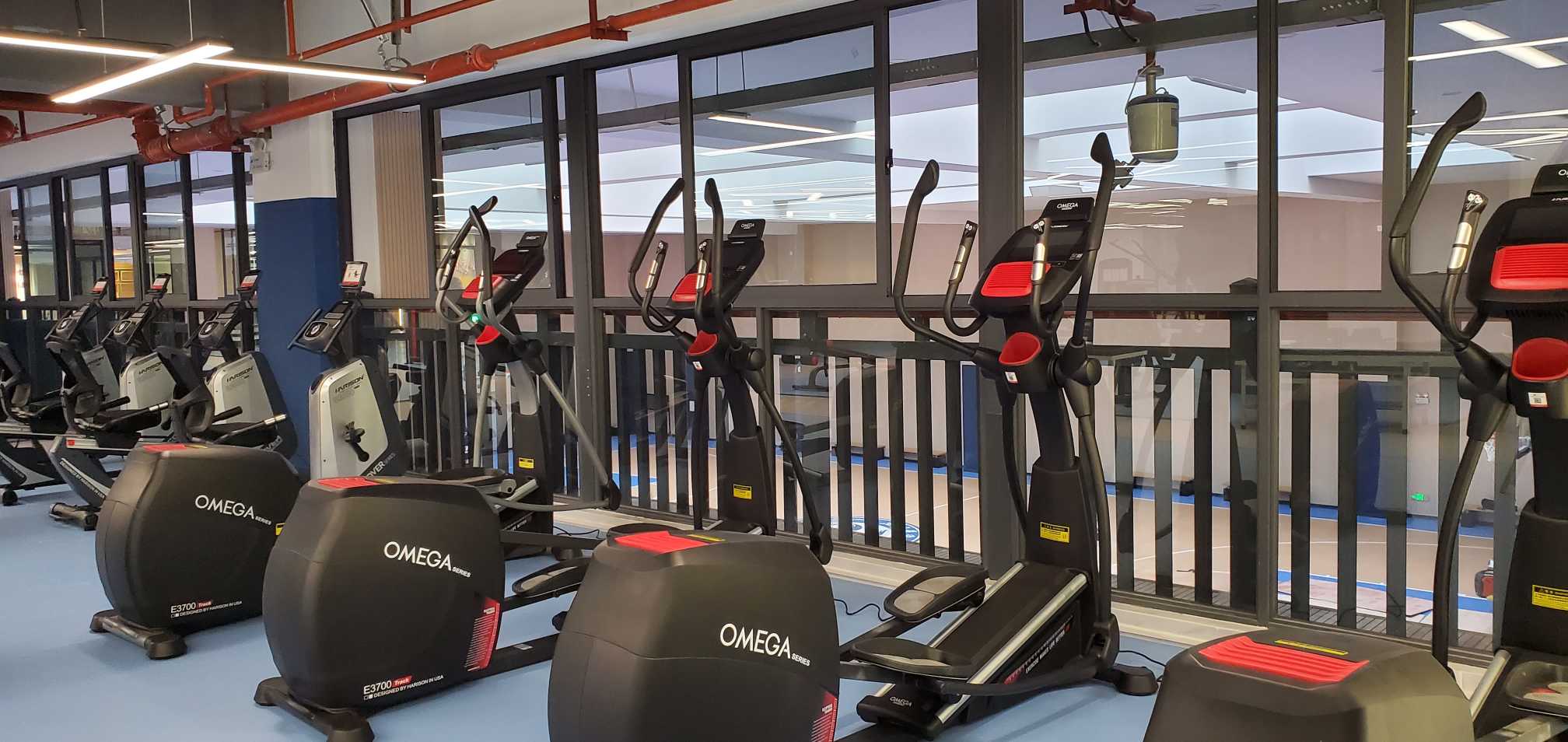 1749804135864809.jpg 20250313_185710.jpg