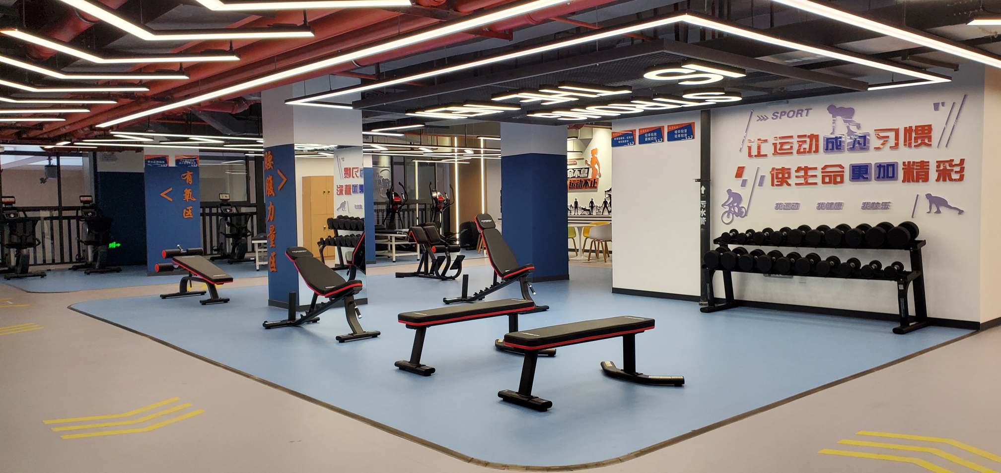 1749804507618237.jpg 20250313_184831.jpg