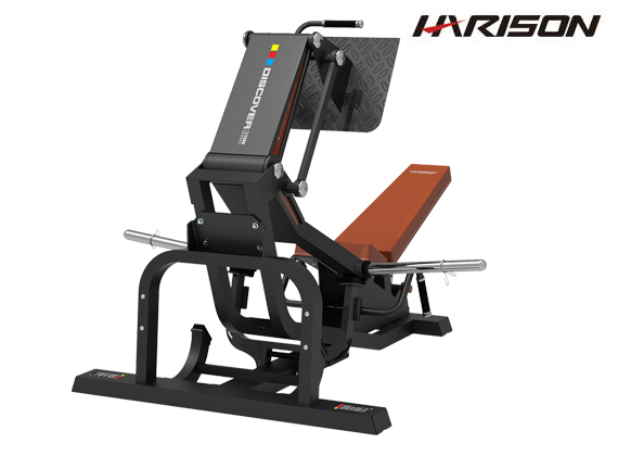 DISCOVER G1208蹬腿训练器