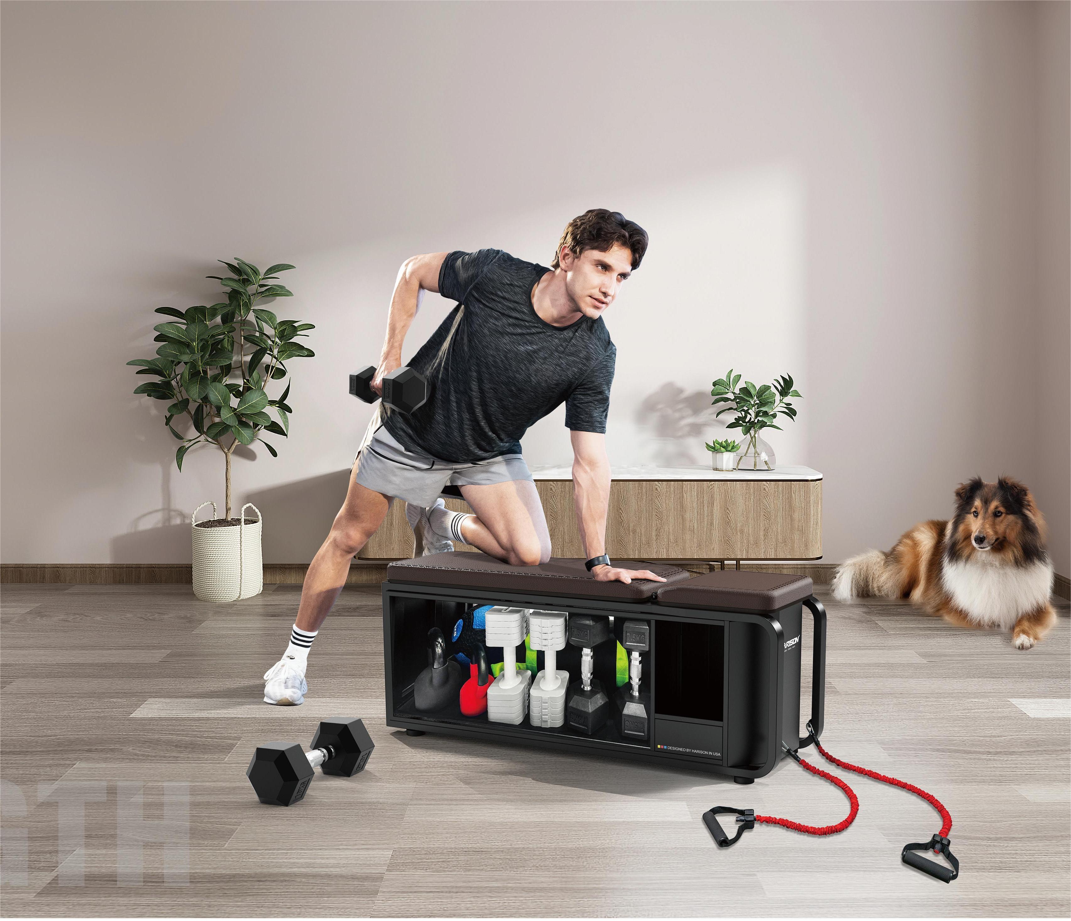 汉臣Discover 610多功能健身盒子