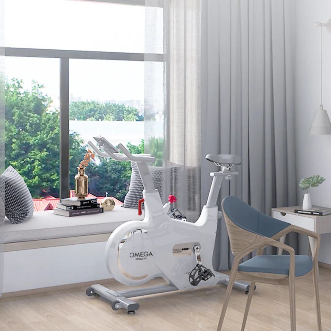 汉臣动感单车Omega B500eco