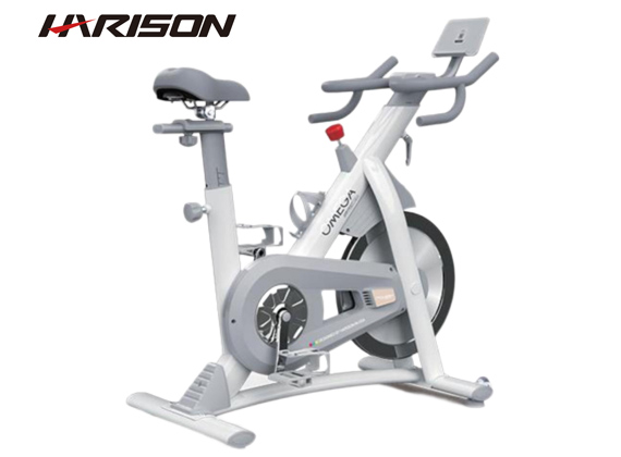 动感单车 OMEGA-X11eco